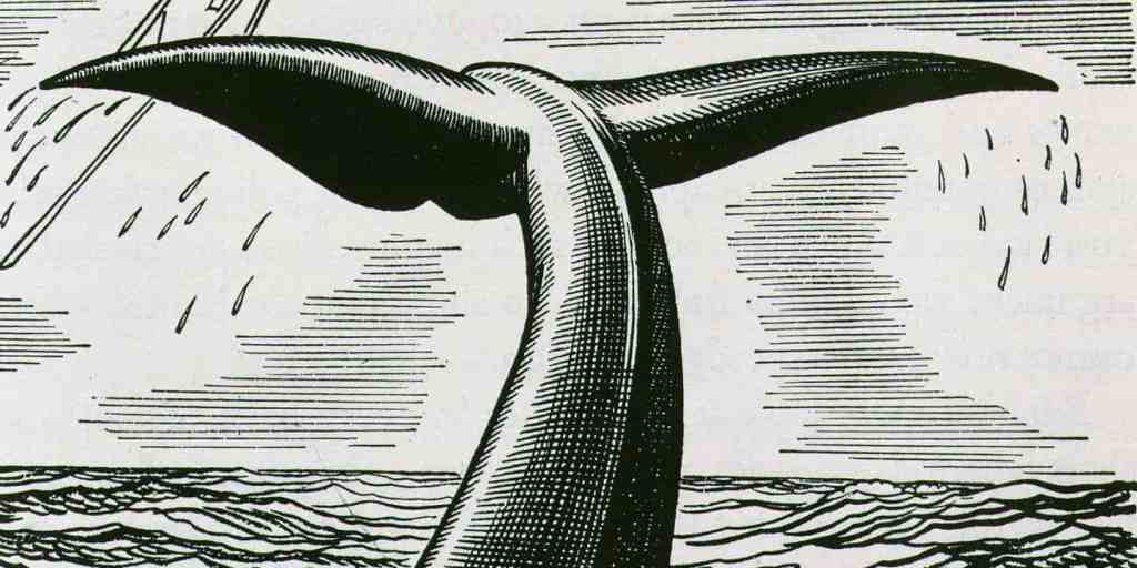 Герман Мелвілл і його “Мобі Дік” – найвеличніша книжка про&nbsp;море